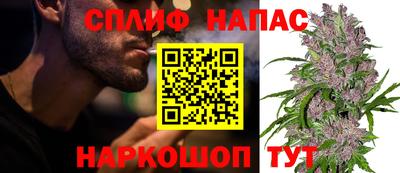 a pvp Можга